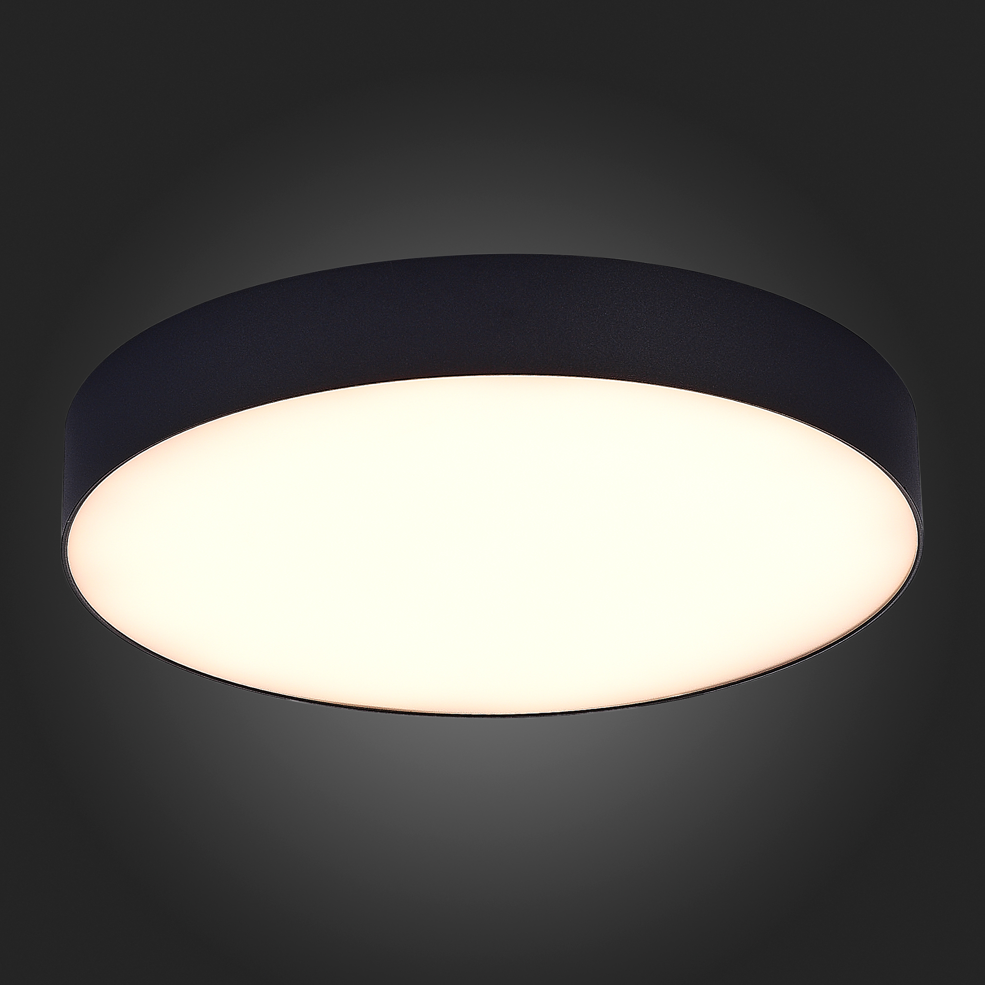 Потолочный светильник ST Luce ST606 ST606.432.48, цвет белый - фото 4