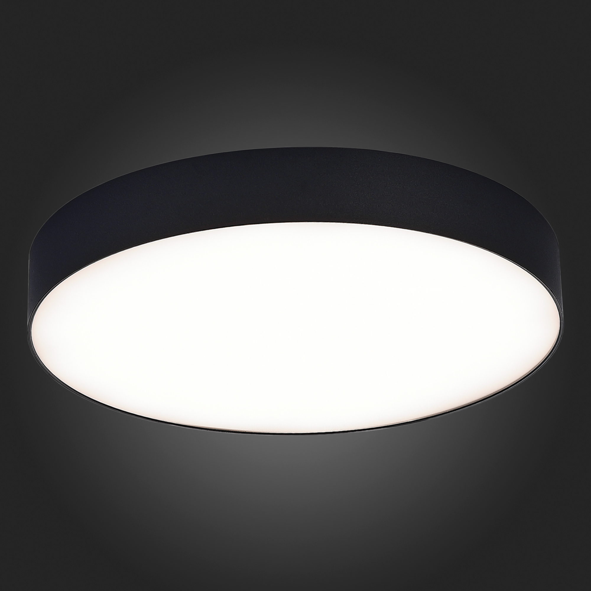 Потолочный светильник ST Luce ST606 ST606.442.48, цвет белый - фото 4