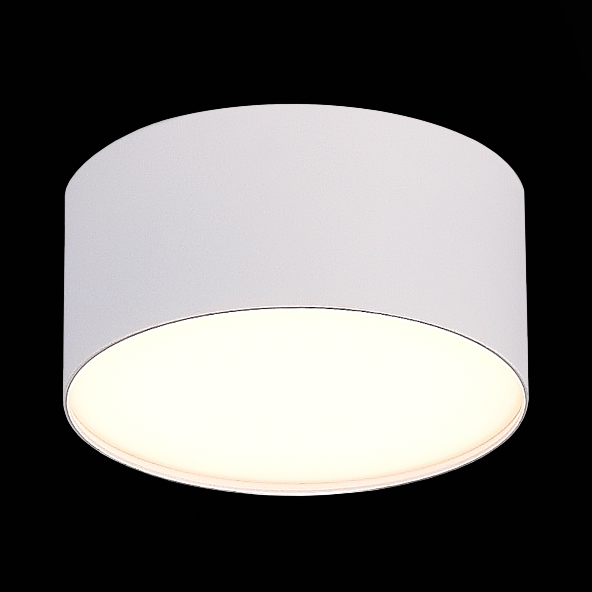 Потолочный светильник ST Luce ST606 ST606.532.12, цвет белый - фото 3