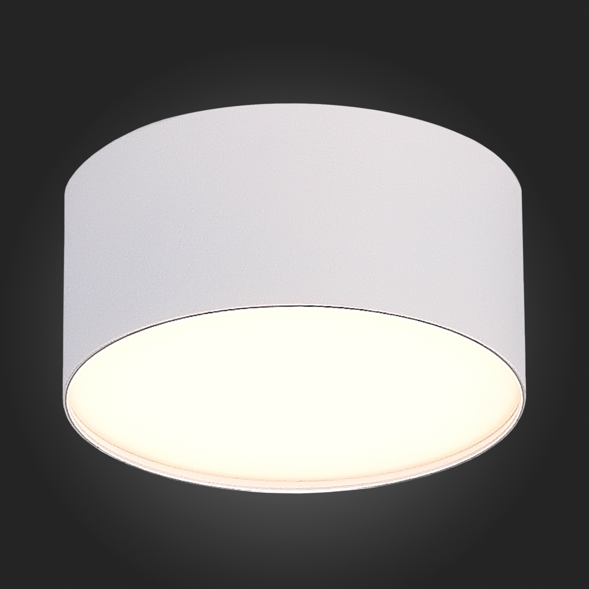 Потолочный светильник ST Luce ST606 ST606.532.12, цвет белый - фото 4
