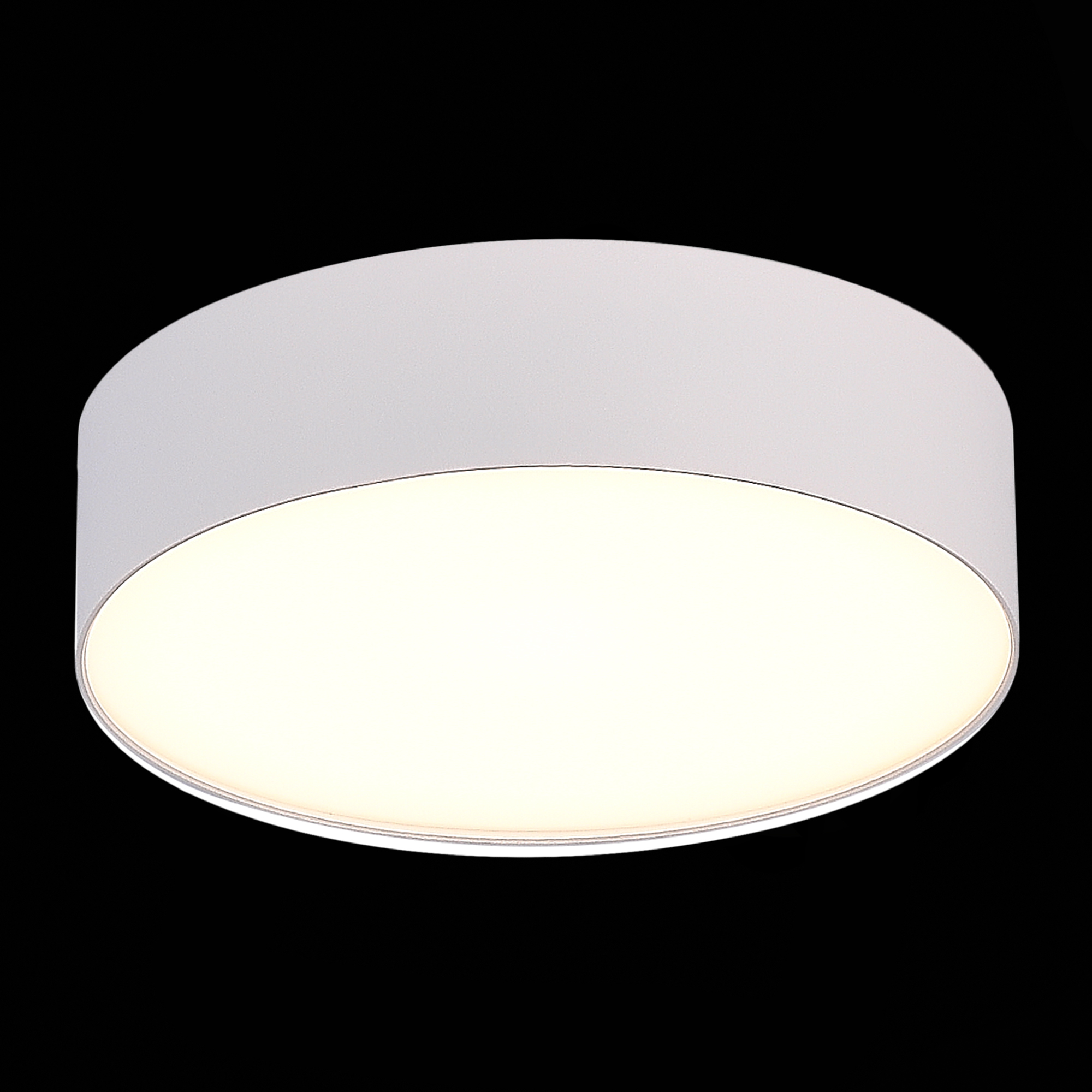 Потолочный светильник ST Luce ST606 ST606.532.27, цвет белый - фото 3
