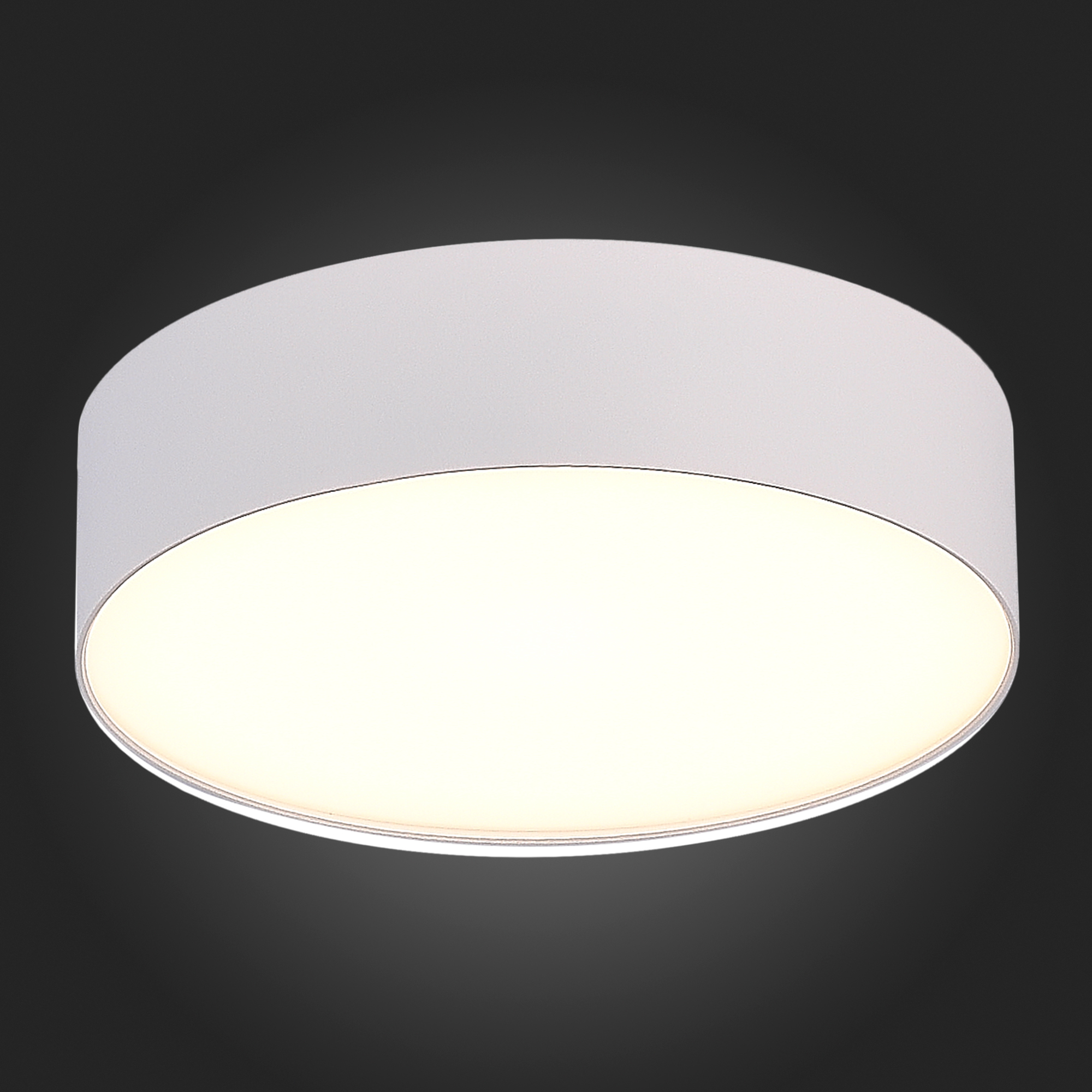Потолочный светильник ST Luce ST606 ST606.532.27, цвет белый - фото 4