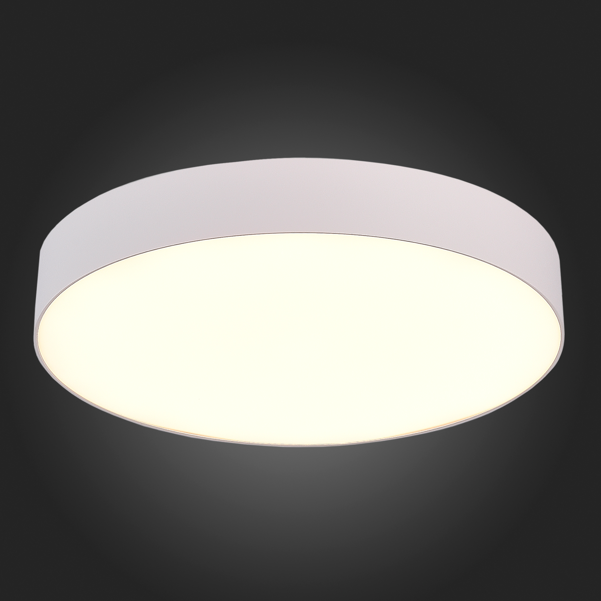 Потолочный светильник ST Luce ST606 ST606.532.48, цвет белый - фото 4