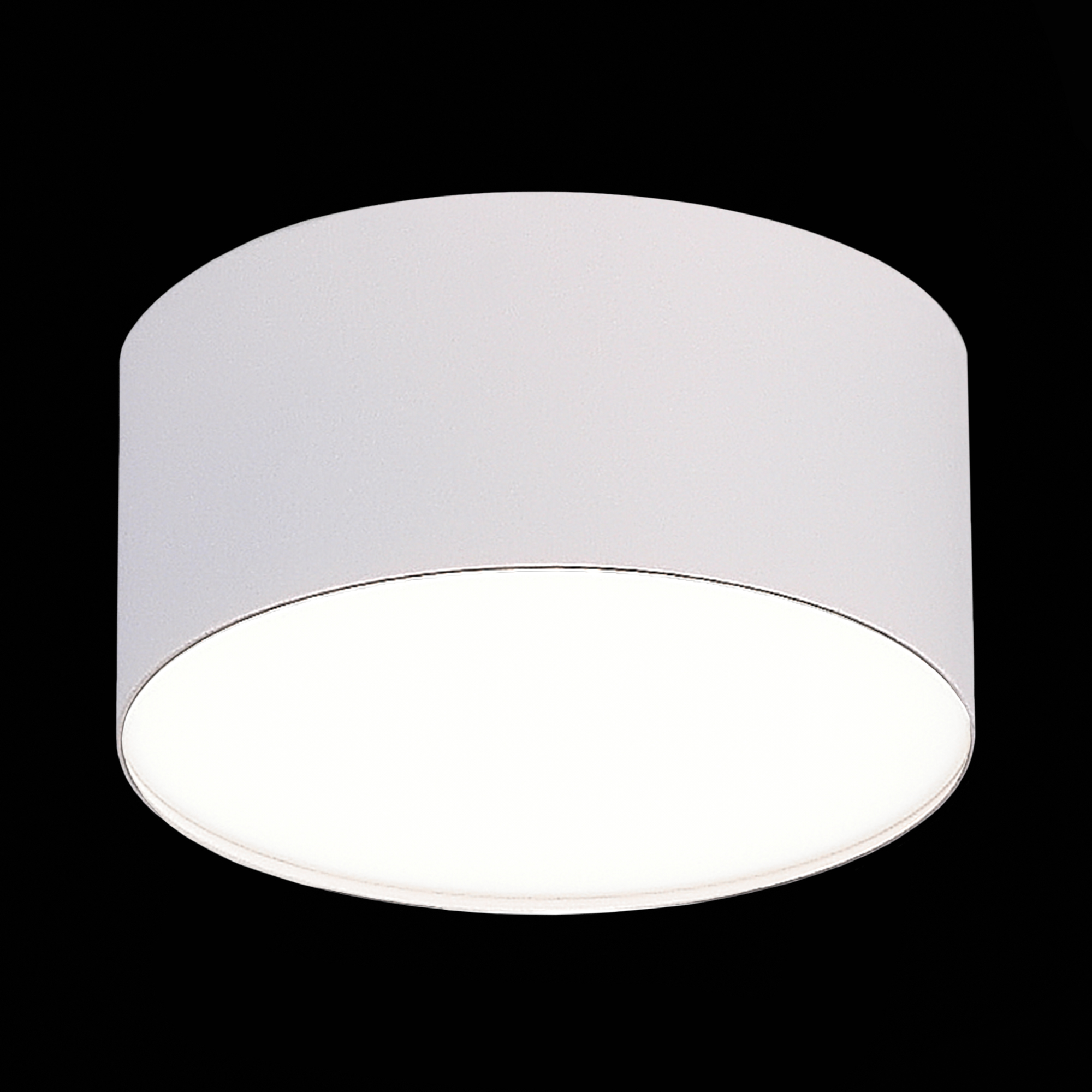 Потолочный светильник ST Luce ST606 ST606.542.12, цвет белый - фото 3