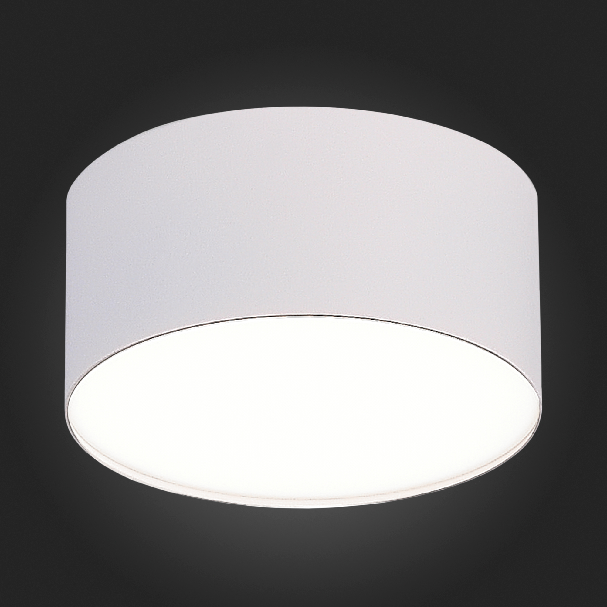 Потолочный светильник ST Luce ST606 ST606.542.12, цвет белый - фото 4