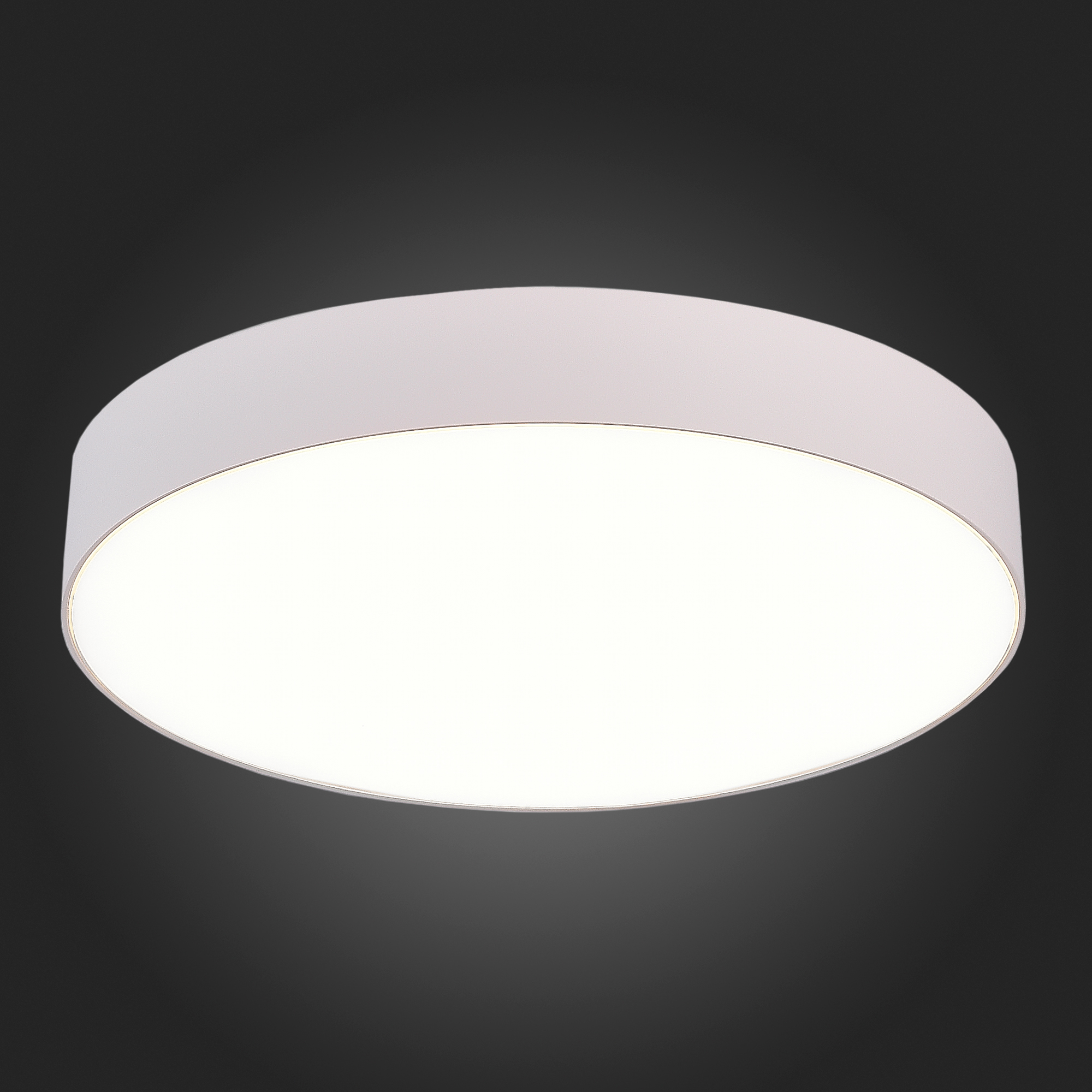 Потолочный светильник ST Luce ST606 ST606.542.48, цвет белый - фото 3