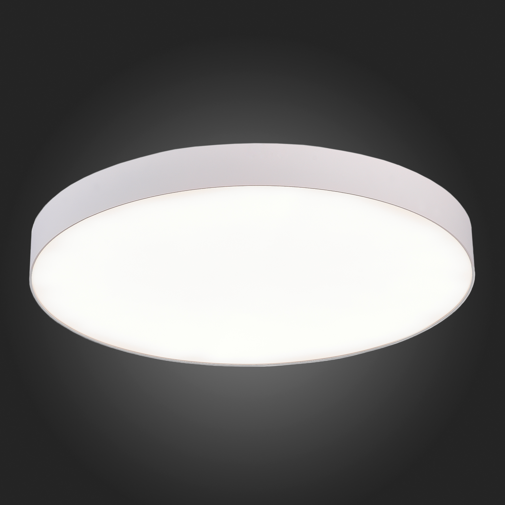 Потолочный светильник ST Luce ST606 ST606.542.96, цвет белый - фото 4