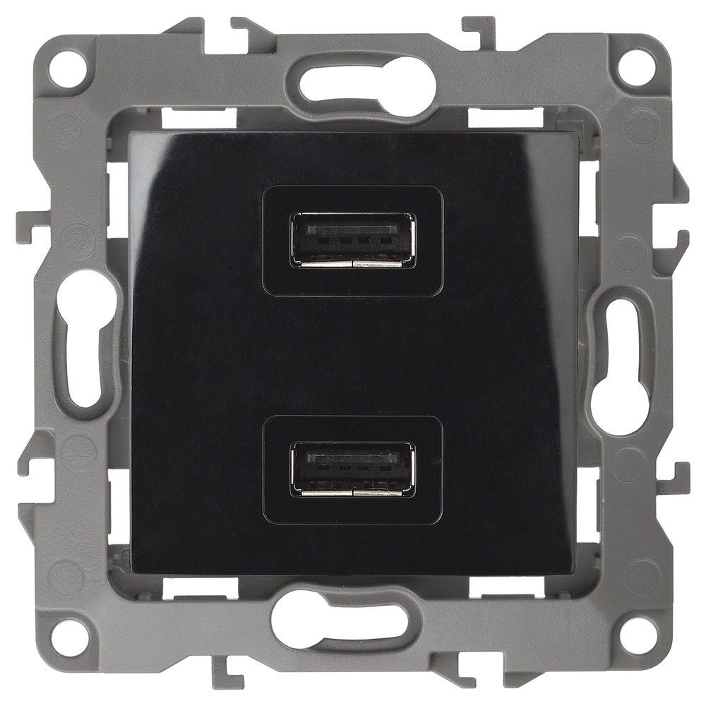 Розетка USB IP20 Эра ЭРА12 12-4110-06 Б0027496, цвет черный - фото 1