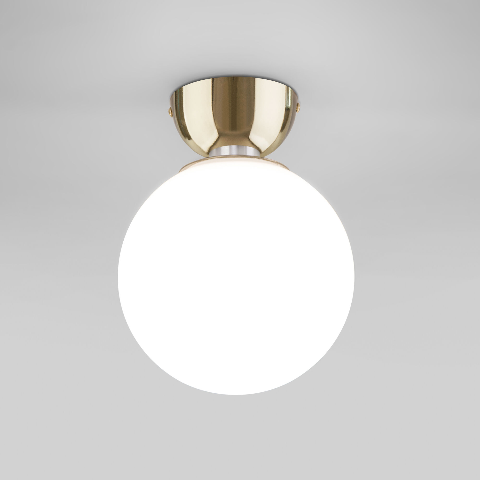 Настенно-потолочный светильник Eurosvet BUBBLE 30197/1 4690389192425, цвет белый;матовый a062583 - фото 1