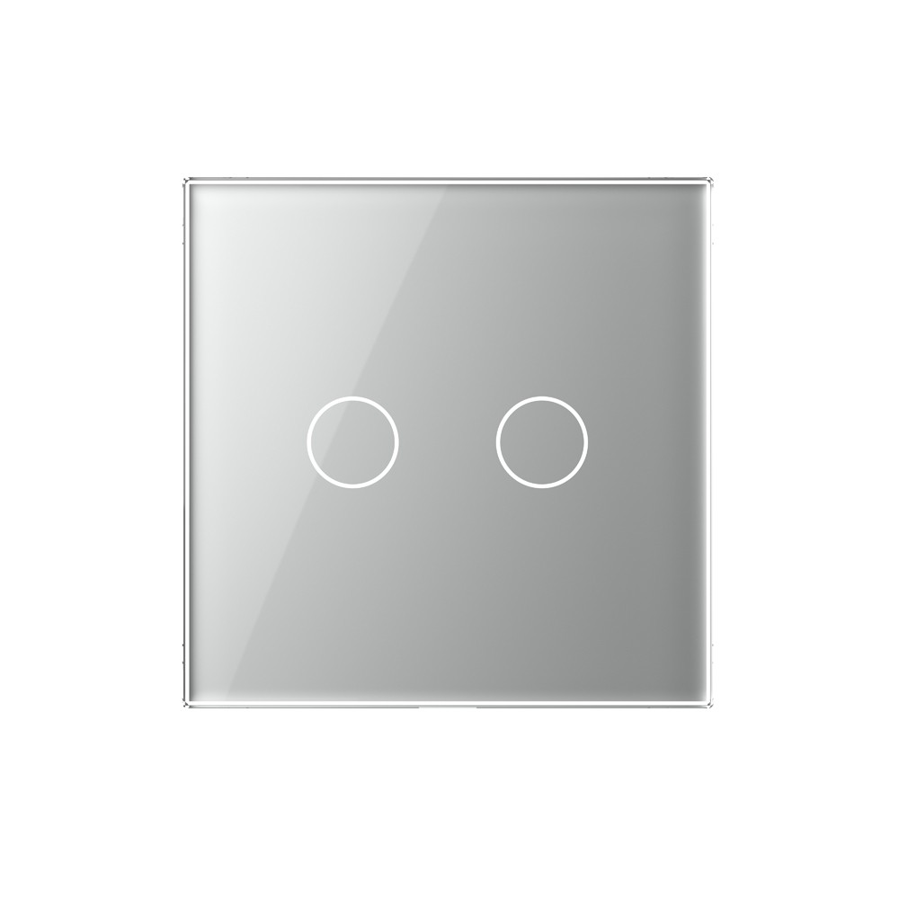 Лицевая панель для сенсорного выключателя 2 клавиши Livolo BB-C7-C2-15, цвет серый - фото 2