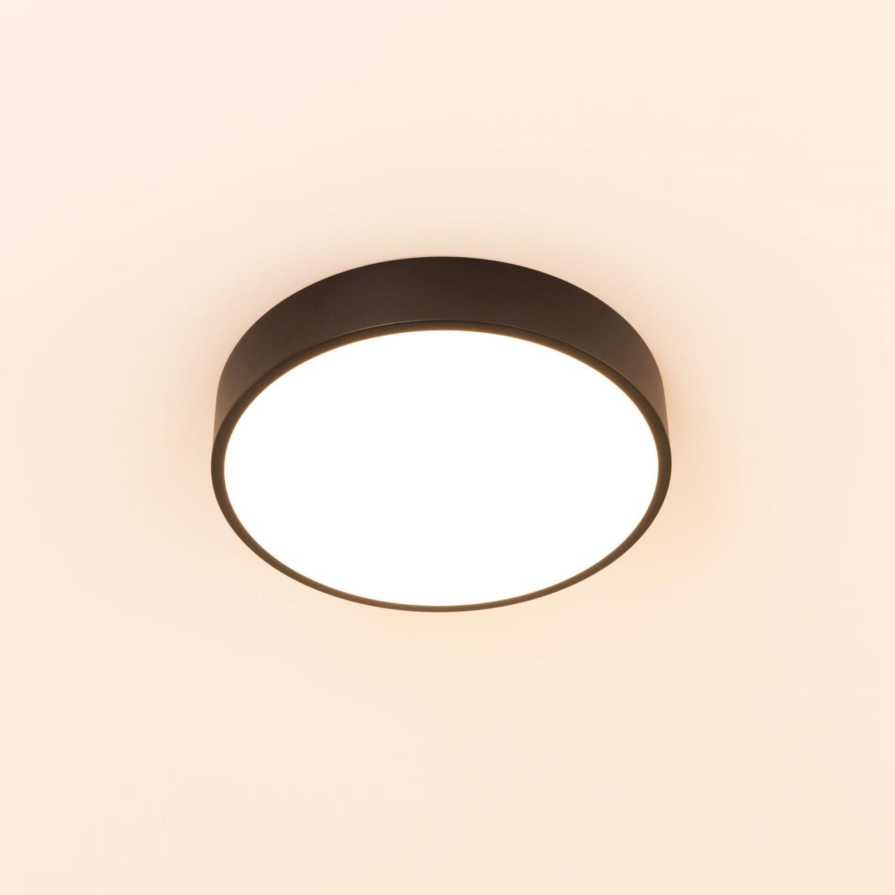 Потолочный светильник Citilux КУПЕР CL72424V1, цвет черный - фото 3