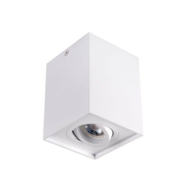 Точечный накладной светильник Kanlux GORD 25470, цвет белый - фото 1