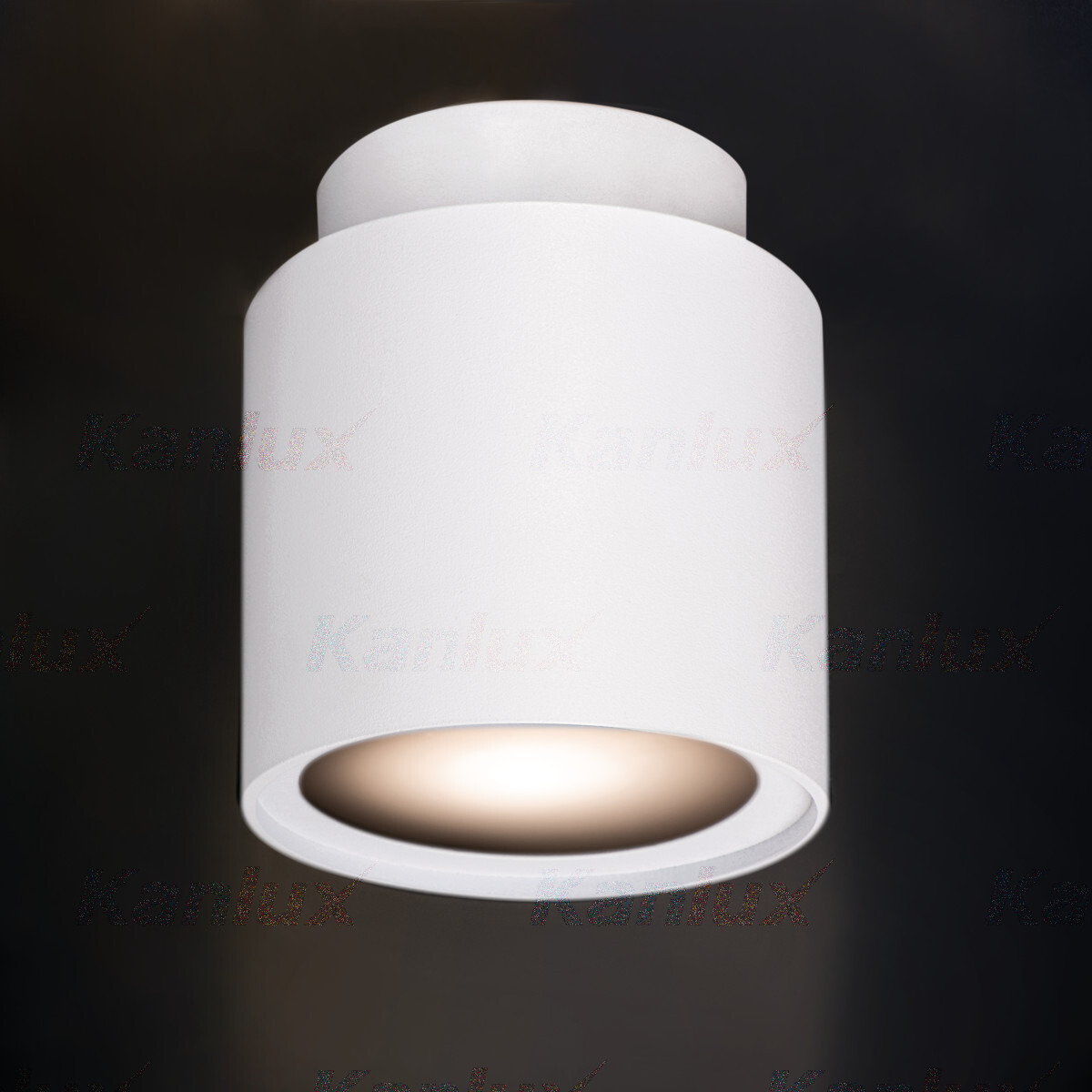 Точечный накладной светильник Kanlux SONOR 24363, цвет белый - фото 4