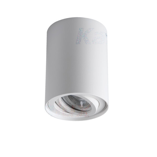 Точечный накладной светильник Kanlux BORD 25479, цвет белый - фото 1