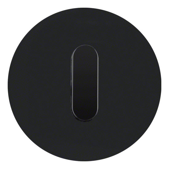 Накладка для поворотного выключателя Berker R.CLASSIC 1001205500, цвет чёрный