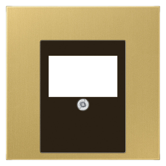 Лицевая панель для розетки аудио Jung LS METAL ME2969TC, цвет золотистый