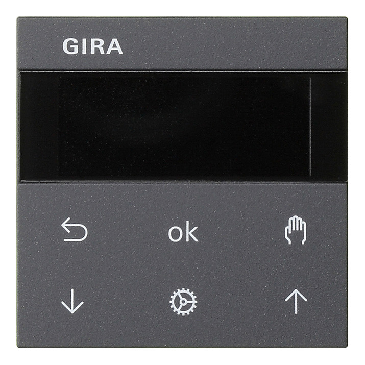 Лицевая панель для таймера Gira SYSTEM 55 536628, цвет чёрный - фото 1