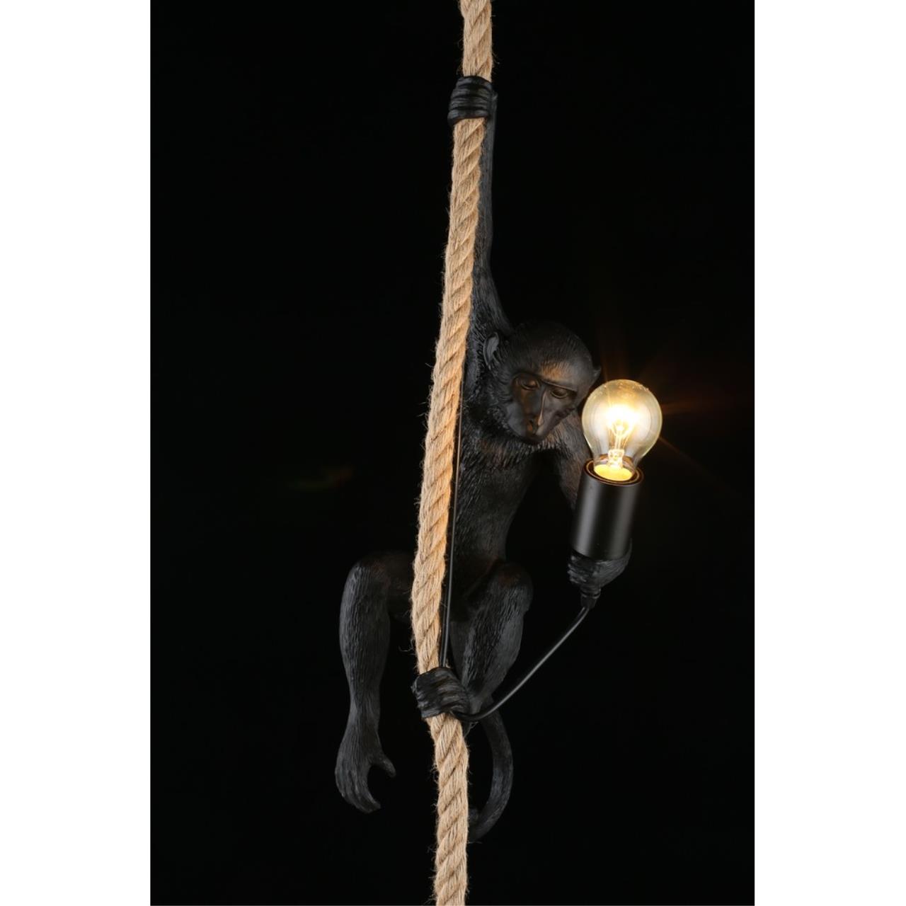 Подвесной светильник Aployt MAGALI APL.309.16.01, цвет чёрный - фото 10