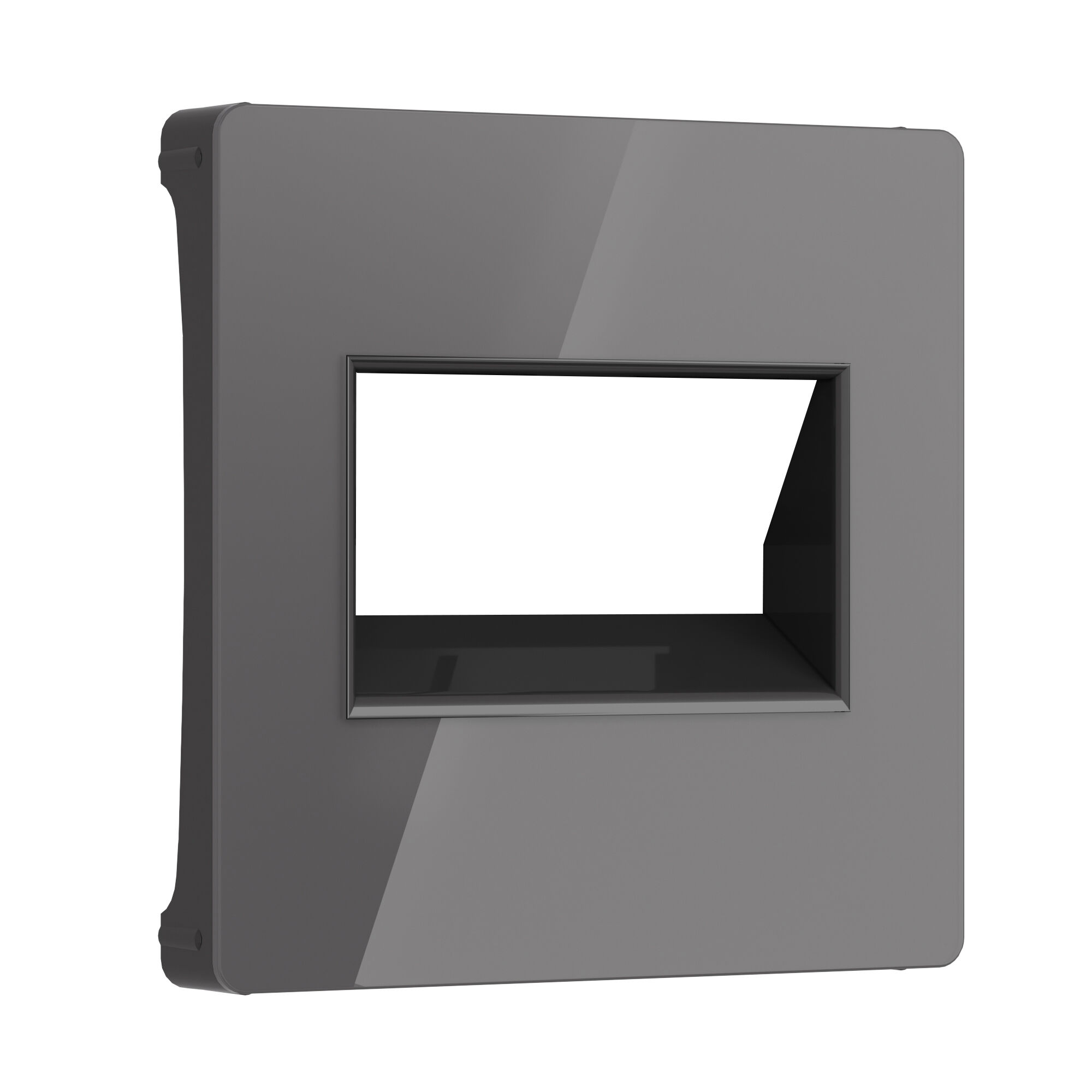 Лицевая панель для розетки интернет RJ-45 Werkel W1191144 4690389197581, цвет серый