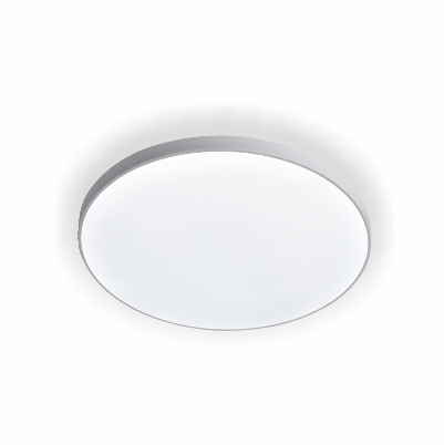 Потолочный светильник Leek LE062500-002, цвет белый - фото 1