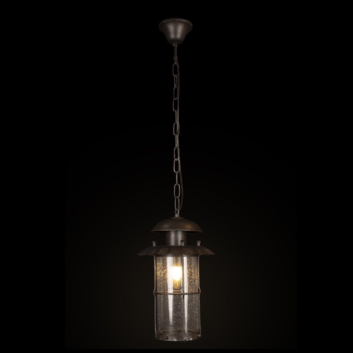 Уличный подвесной светильник Loft It PALERMO 100015P, цвет прозрачный;коричневый - фото 2