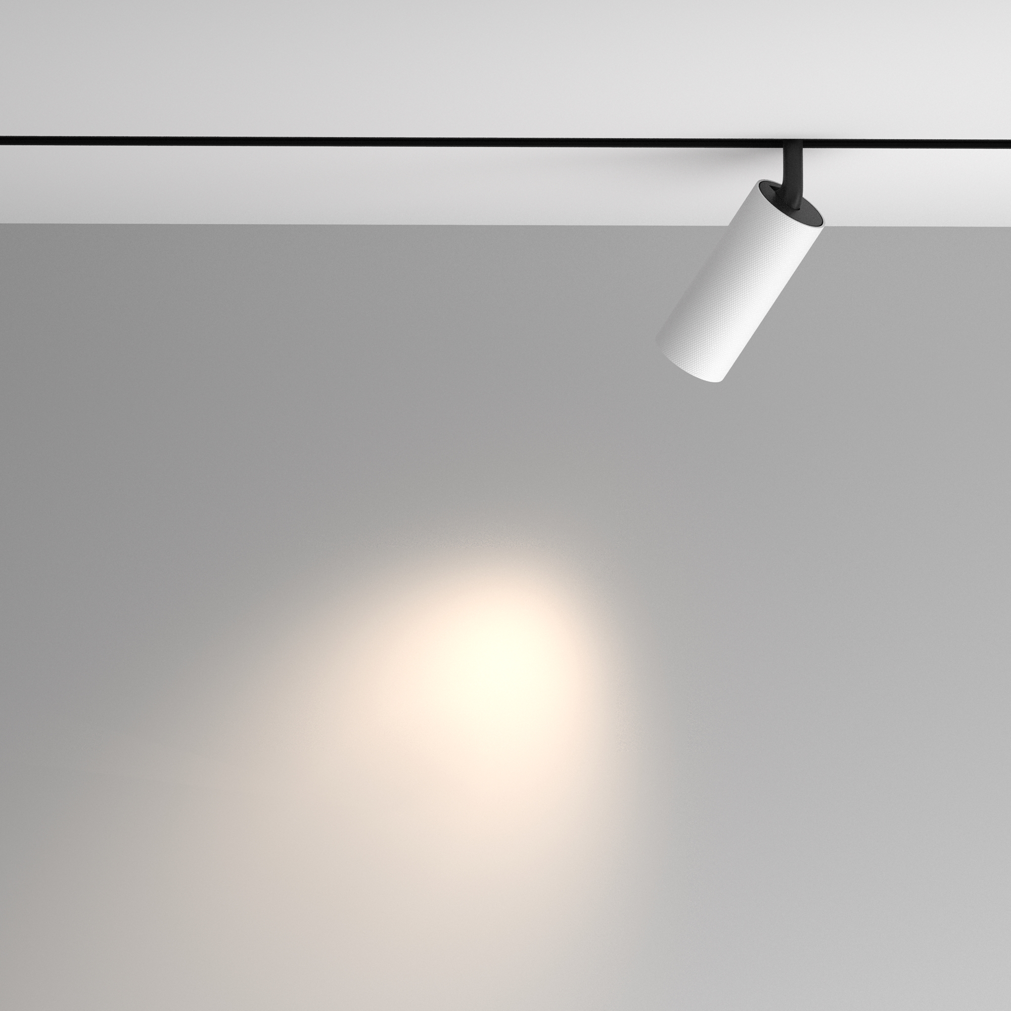 Магнитный трековый светильник Maytoni ARTISAN TR097-2-12W4K-M-BW, цвет чёрный;белый - фото 4