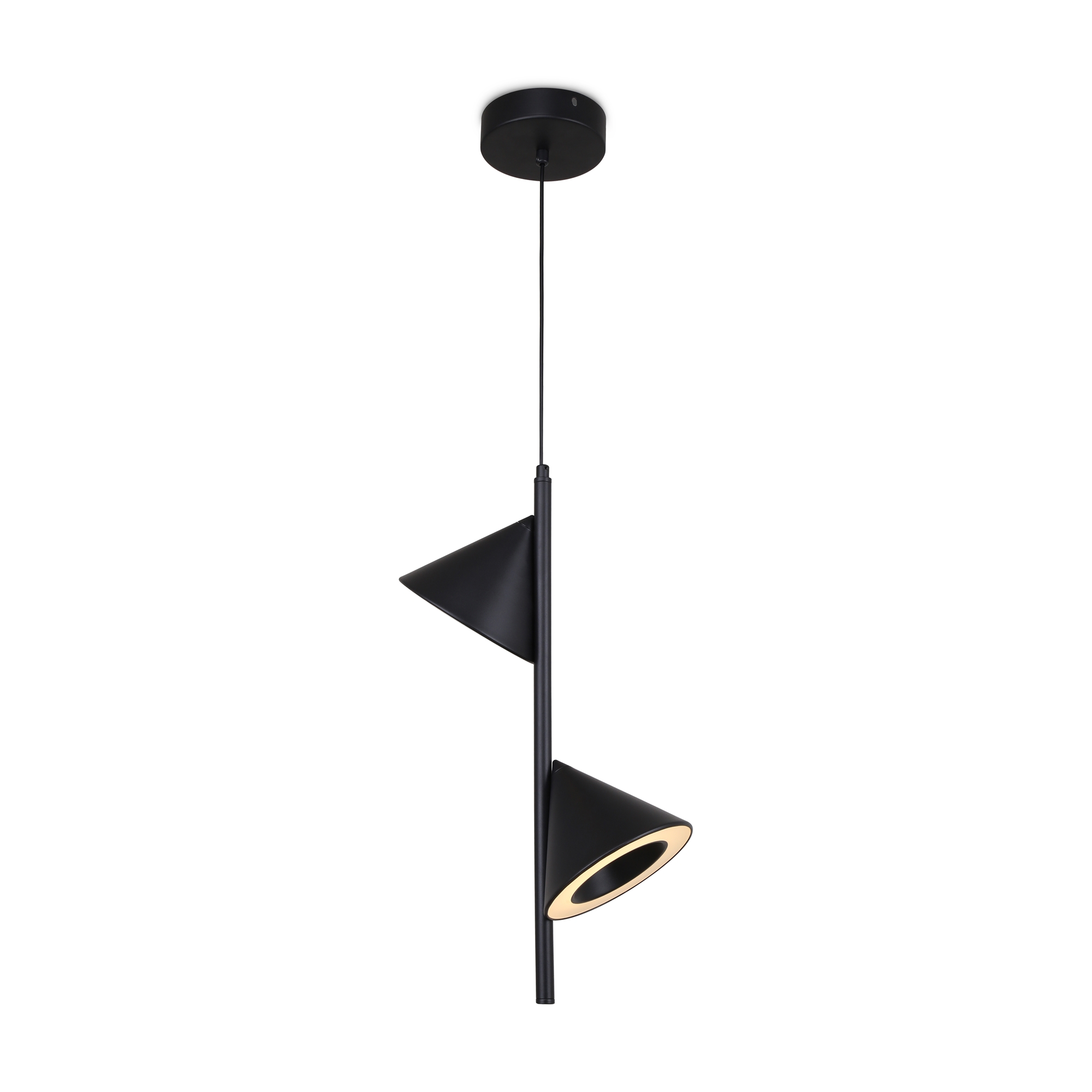 Подвесной светильник Freya ETRO FR6141PL-L14B, цвет чёрный - фото 1