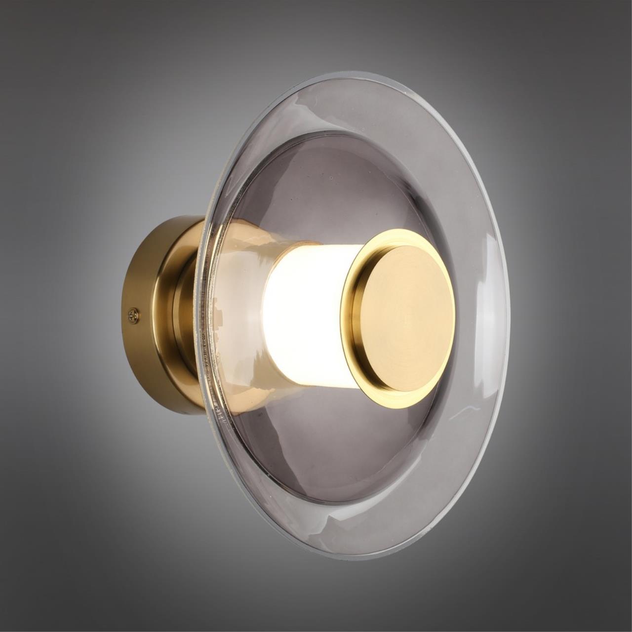 Настенный светильник Aployt STEFA APL.648.11.10, цвет серый - фото 2