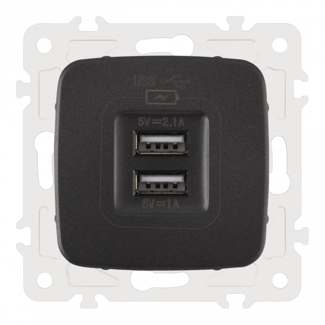 Розетка USB Arte Milano 205.46-1.black, цвет чёрный - фото 1