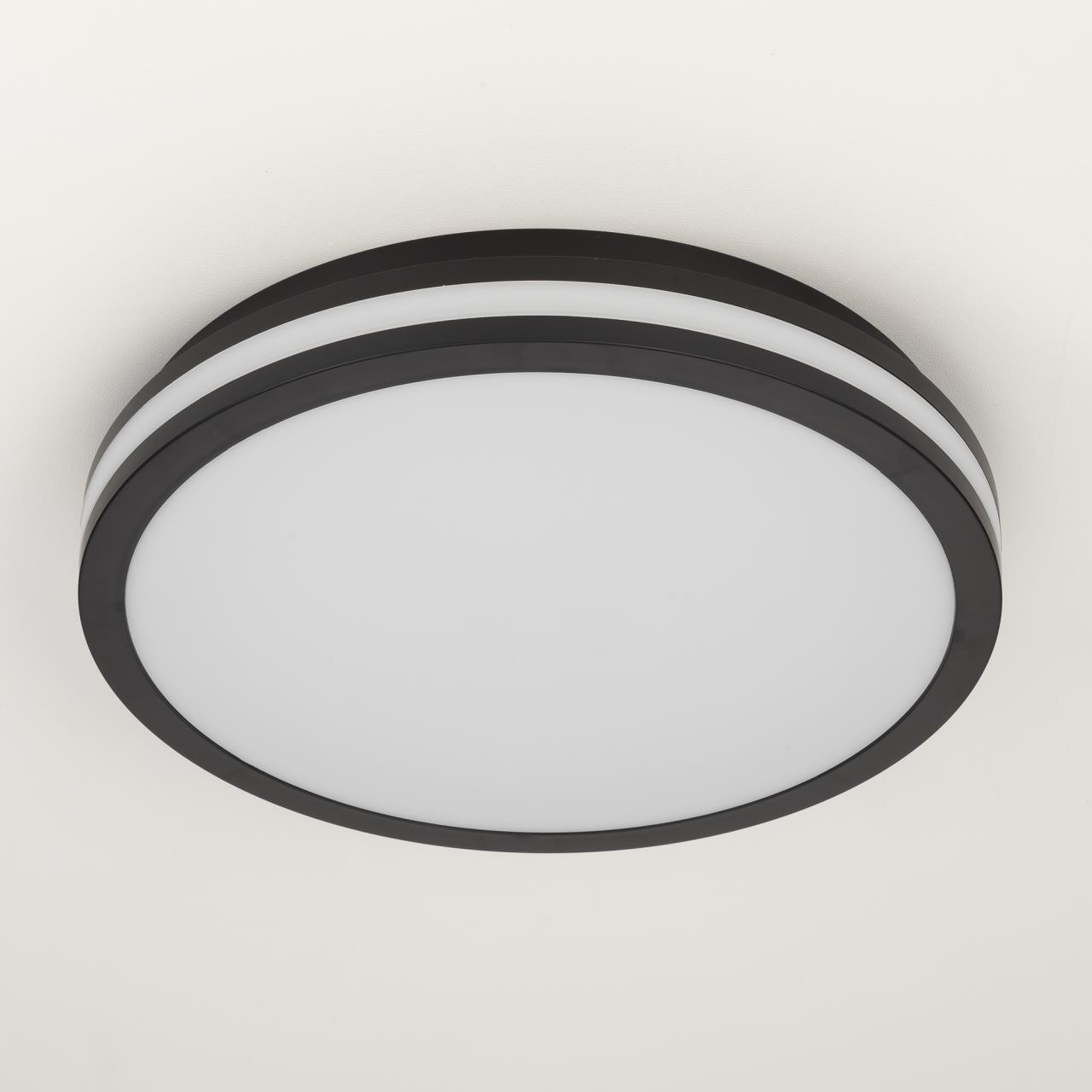 Уличный потолочный светильник Citilux LUNS CL711021V, цвет чёрный;матовый