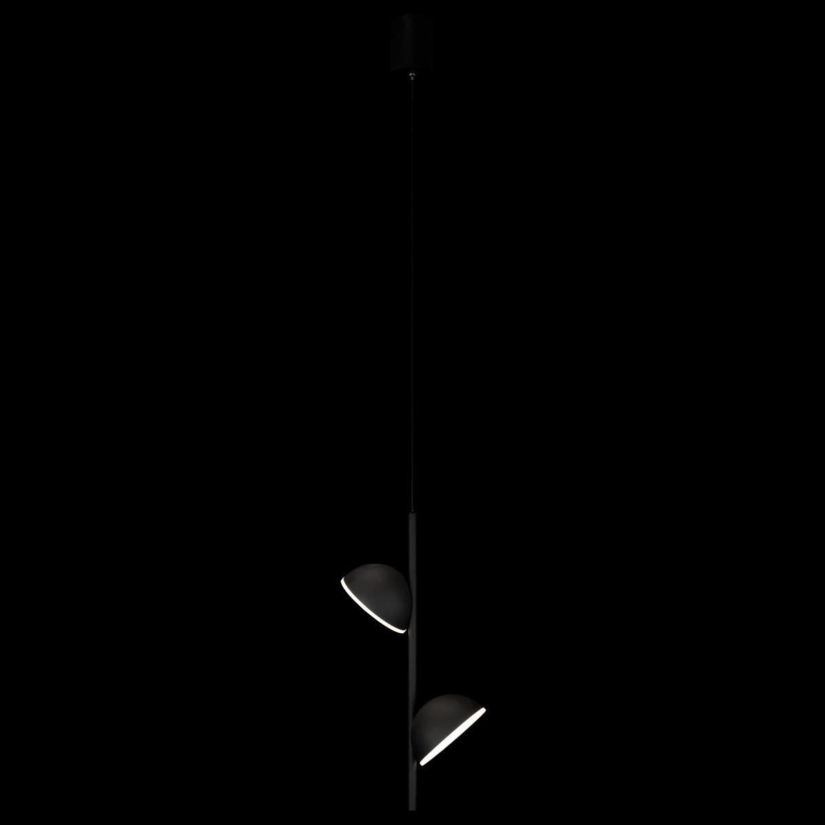 Подвесной светильник Loft It MONS 10335 Black, цвет чёрный - фото 2