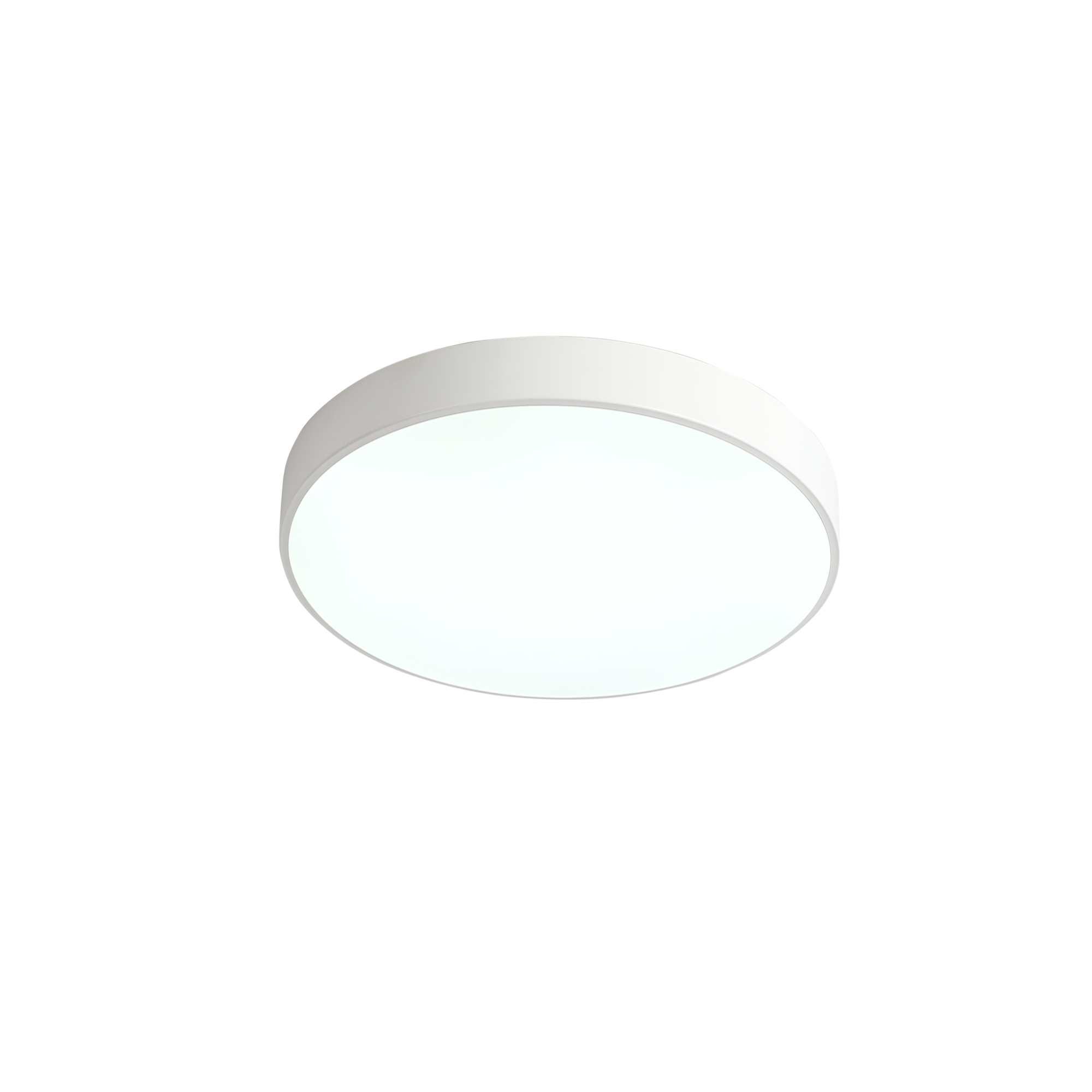 Потолочный светильник Zortes TORTTY ZRS.02564.48, цвет белый - фото 1