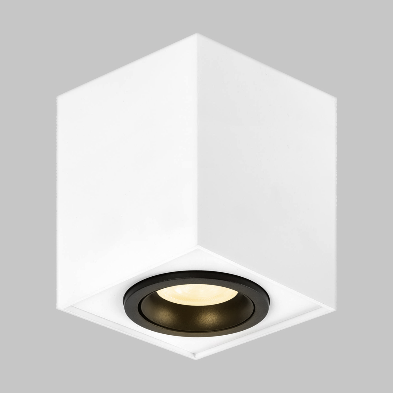 Точечный накладной светильник Imex COPO IL.0005.2500-WBK, цвет белый;чёрный - фото 2