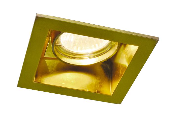 Встраиваемый светильник Arte Lamp TECHNIKA A8050PL-1GO, цвет золотистый - фото 1